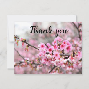 Merci de Sakura Floral de fleurs de cerisiers de p