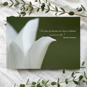 Merci de Tulipe blanche pour votre sympathie