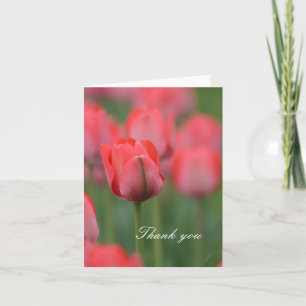 Merci de tulipes roses