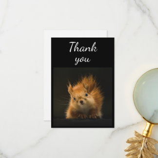 Merci d'Humour animal d'écureuil rouge mou