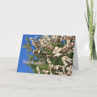 Merci du printemps