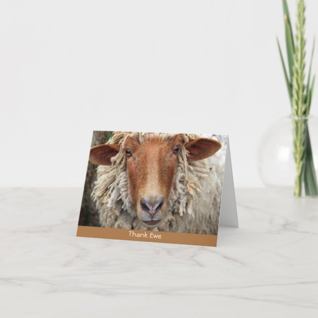 Merci Ewe : Une carte lunatique (Devant)