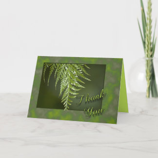 Merci Fern