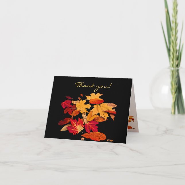 Merci Feuillage d'automne en orange rouge jaune (Devant)