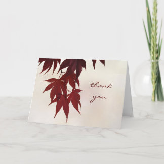 Merci - Feuilles japonais de l'érable