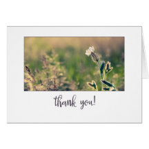 Merci Fleur sauvage Pink Light Campion