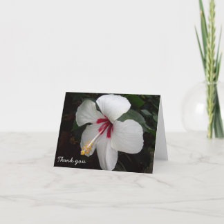 Merci - Fleurs