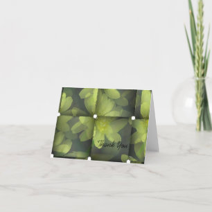 Merci floral moderne