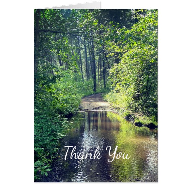 Merci Forest Lake Wilderness Paysage paisible (Devant)