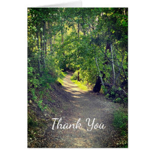 Merci Forest Trail Wilderness Paysage paisible