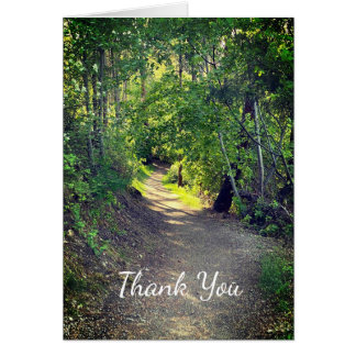 Merci Forest Trail Wilderness Paysage paisible