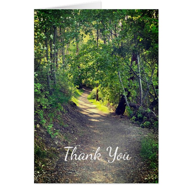 Merci Forest Trail Wilderness Paysage paisible (Devant)