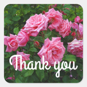 Merci Gene Boerner Rose #2 Stickers