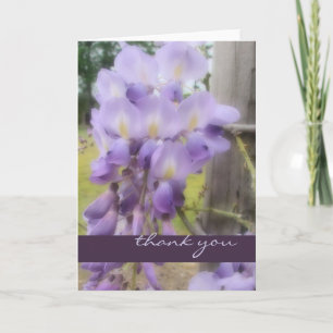 Merci - glycine douce de foyer