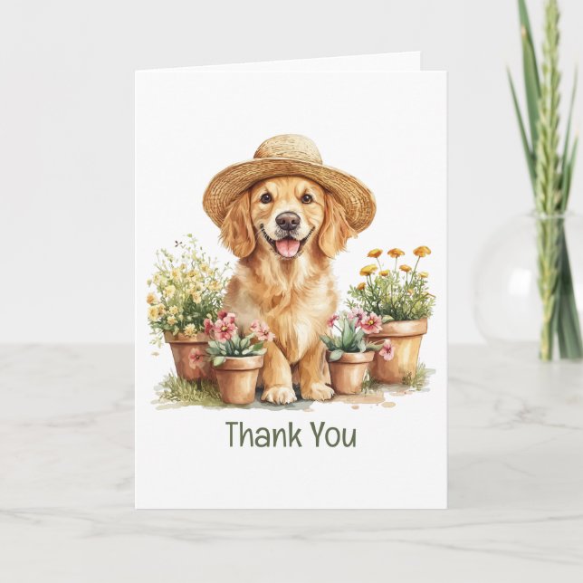 Merci Golden Retriever Chien Jardinage (Devant)