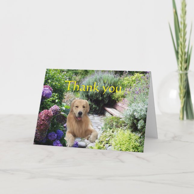 Merci Golden Retriever Dans La Carte Jardin (Devant)