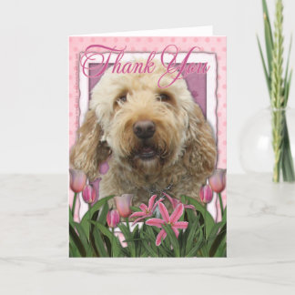 Merci - Goldendoodle