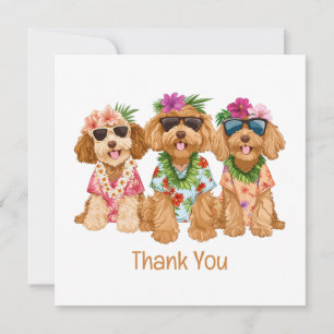 Merci Goldendoodle Hawaïen Chiens Fleur Lei