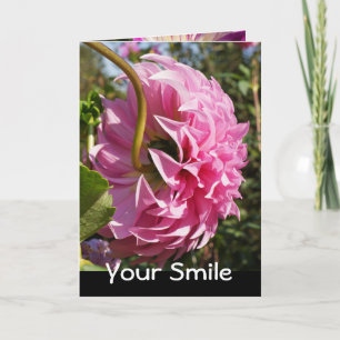 Merci Grande Infirmière Sourire Infirmières Anges