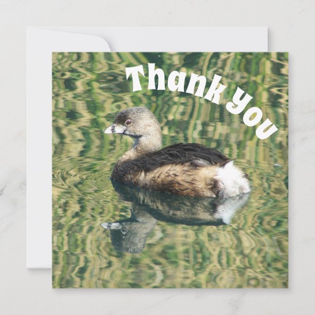 Merci Grebe et réflexion Appréciation photo (Devant)