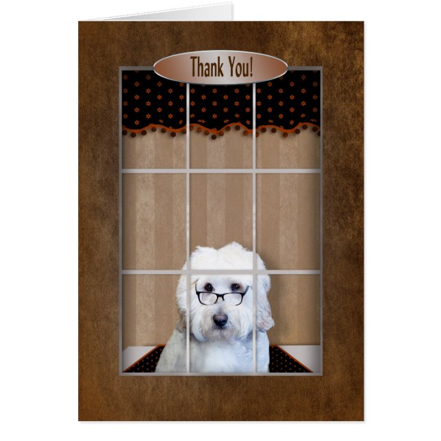 Merci - griffonnage d'or - fenêtre (Devant)