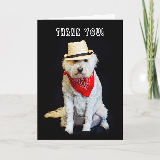 MERCI - HUMOUR - CASQUETTE CHIEN/COWBOY ET SCARF (Devant)