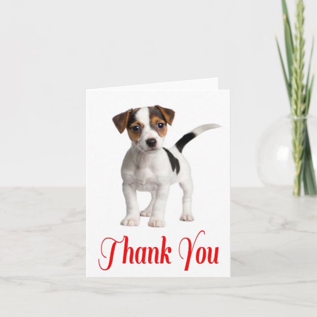 Merci Jack Russell Terrier Puppy Chien Note Card (Devant)