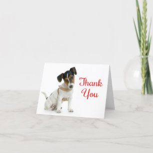 Merci Jack Russell Terrier Puppy Chien Note Card