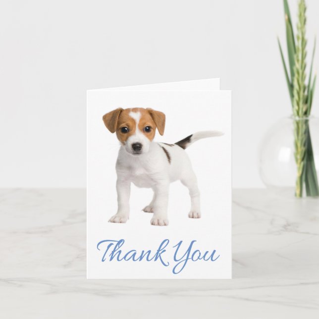 Merci Jack Russell Terrier Puppy Chien Note Card (Devant)