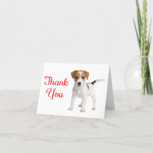 Merci Jack Russell Terrier Puppy Chien Note Card