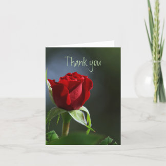 Merci Jardin de roses rouges Fleur