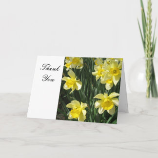 Merci jaune de fleurs de jonquilles