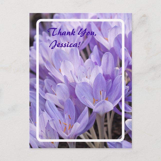 Merci, Jessica ! Carte postale (Devant)