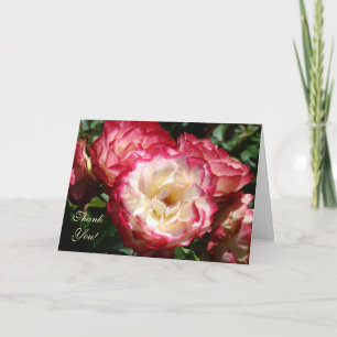 Merci ! Le rose blanc rose de carte fleurit la