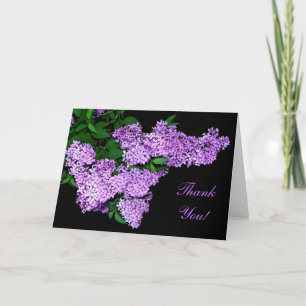 Merci lilas !