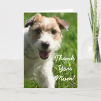 Merci Maman Jack Russell Terrier Carte de voeux