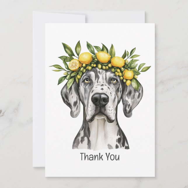 Merci Merle Great Dane Chien Citron Couronne (Devant)
