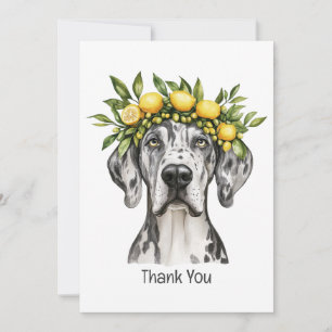 Merci Merle Great Dane Chien Citron Couronne