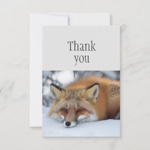 Merci mignon dormant Renard rouge animal
