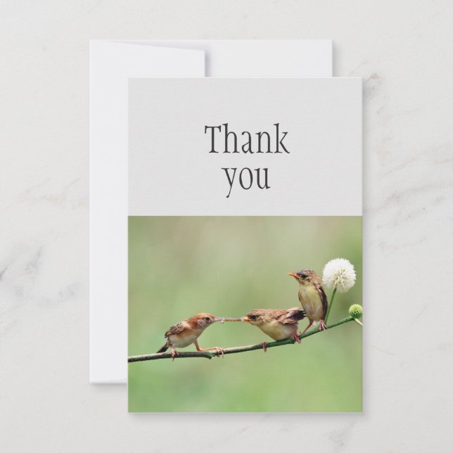 Merci Oiseau Parent Mignon Bébés Oiseaux (Devant)