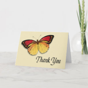 Merci papillon