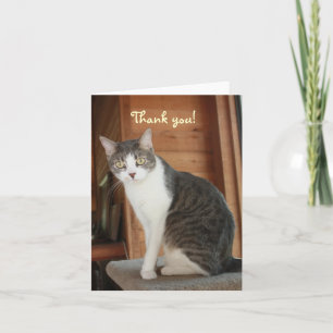 Merci personnalisable