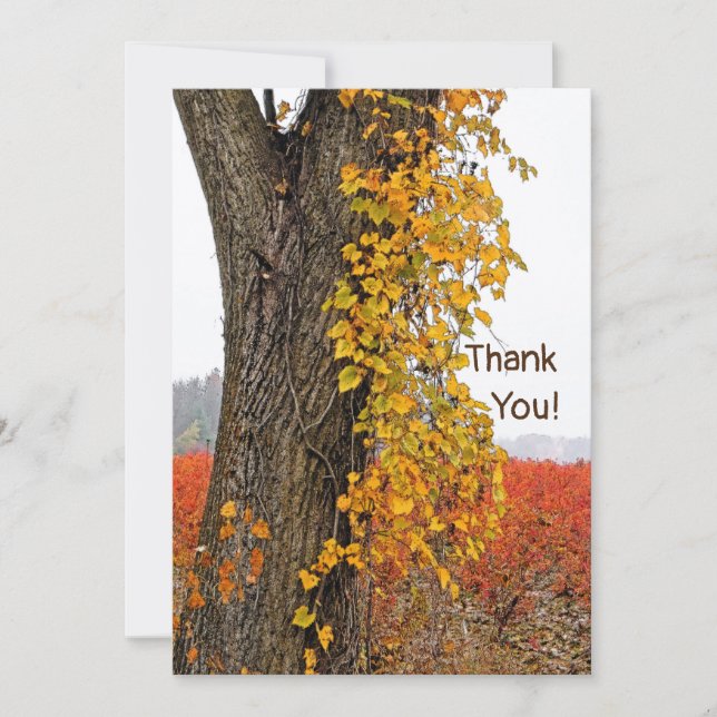 MERCI/PERSONNALISABLE/ARBRE, VIN, CHAMPS BLUEBERRY (Devant)