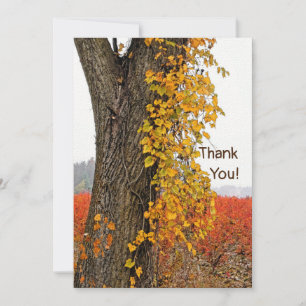 MERCI/PERSONNALISABLE/ARBRE, VIN, CHAMPS BLUEBERRY