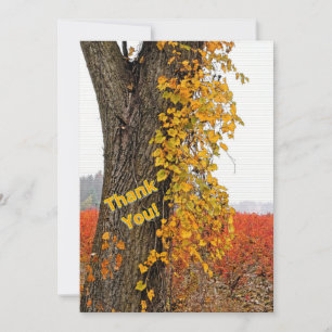 MERCI/PERSONNALISABLE/ARBRE, VIN, CHAMPS BLUEBERRY