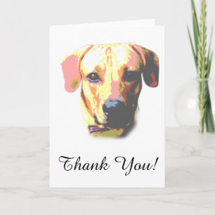 Merci photo de chien