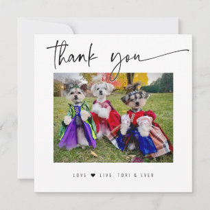 MERCI PHOTO DE CHIEN écriture moderne simple