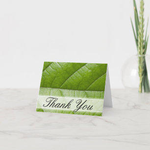 Merci photo de la feuille verte