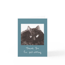 Merci pour animaux de compagnie de chats gras