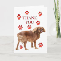 Merci Pour La Carte De Voeux De Repas